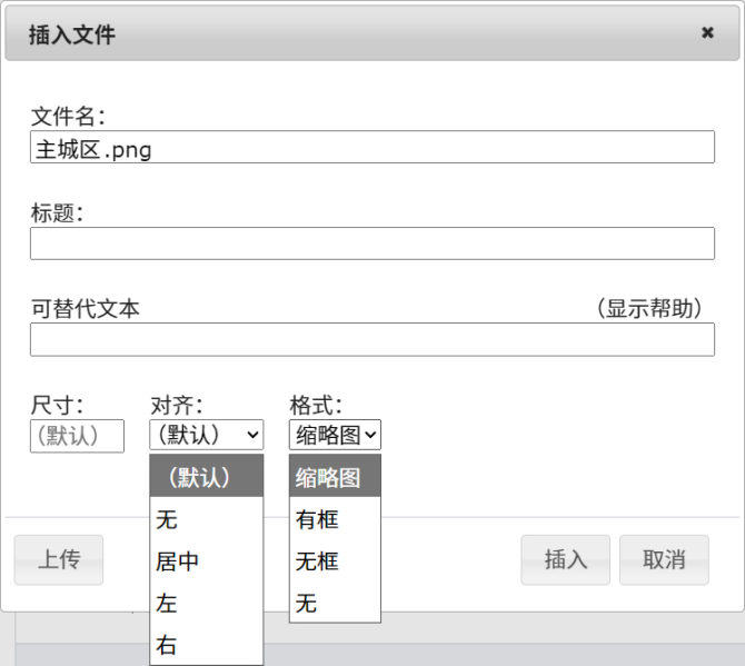 文件:插入文件对话框.png